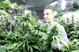 Growroom Adventures With Nico Escondido